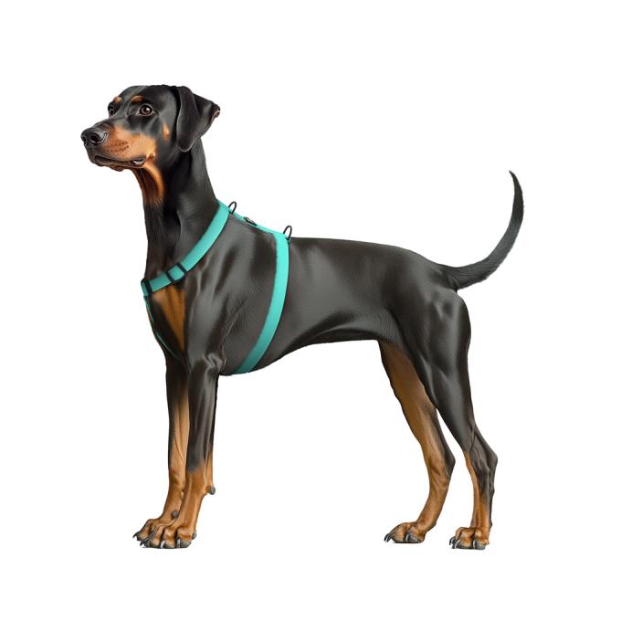 WAUDOG 262327