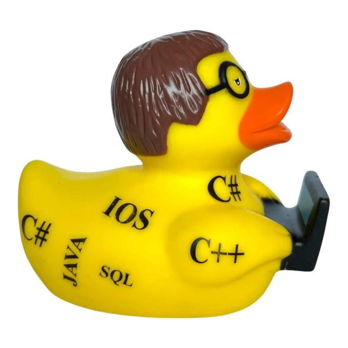 Funny Ducks 1333