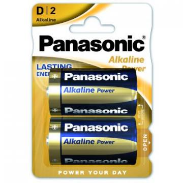 PANASONIC D LR20 Alkaline Power * 2