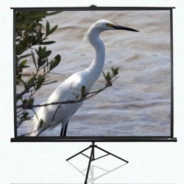 ELITE SCREENS T84UWV1