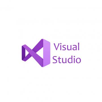 Microsoft Visual Studio Professional 2022 Charity, Perpetual