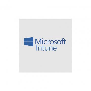 Microsoft Intune P1Y Annual License