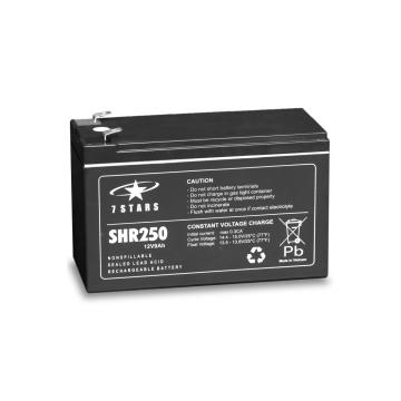 EverExceed SHR250 12V-9Ah