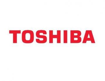 TOSHIBA 6LK49167000